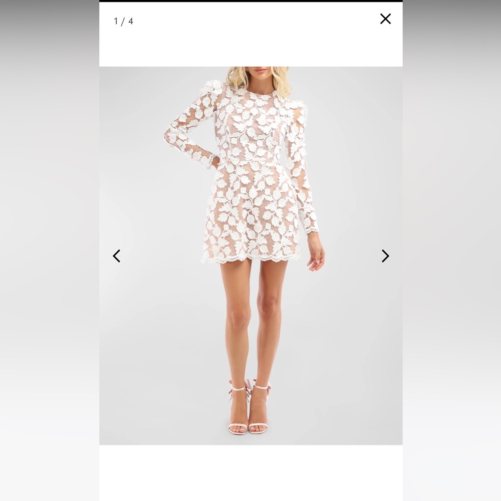 HELSI Christy Scalloped Floral Appliqué mini dress